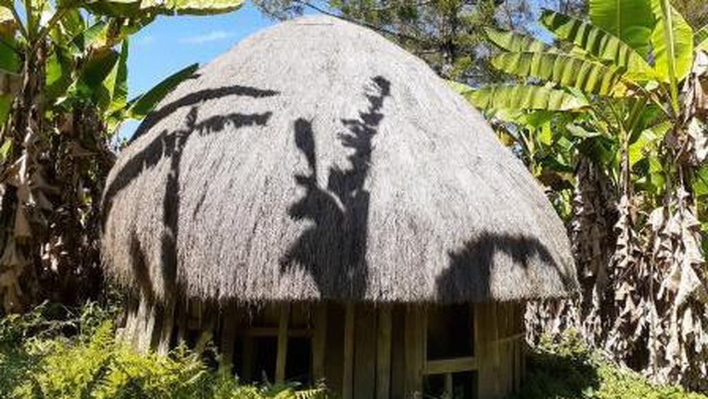 Rumah Honai